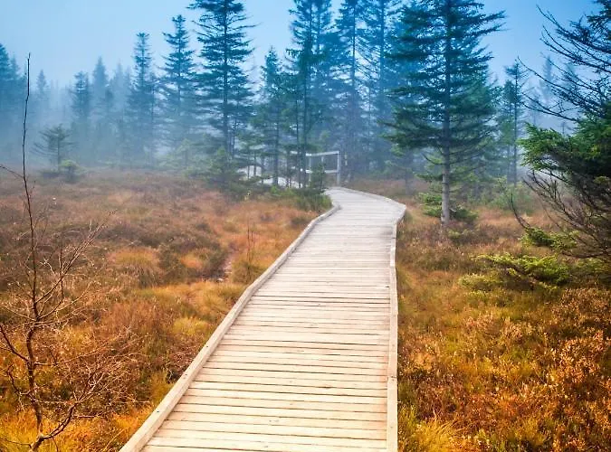 Happy Klínovec * Loučná pod Klínovcem