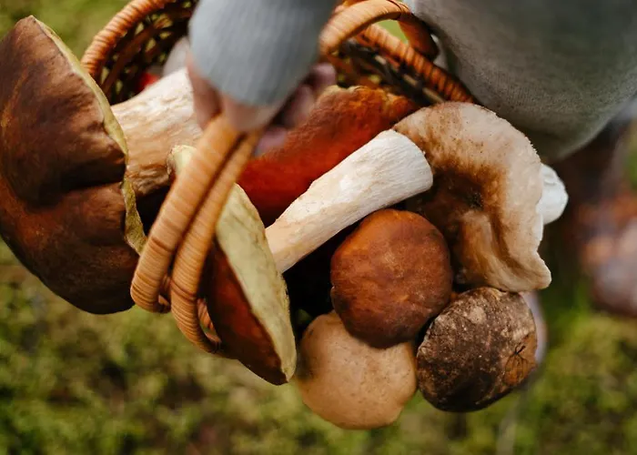 Happy Klínovec Apartmán *