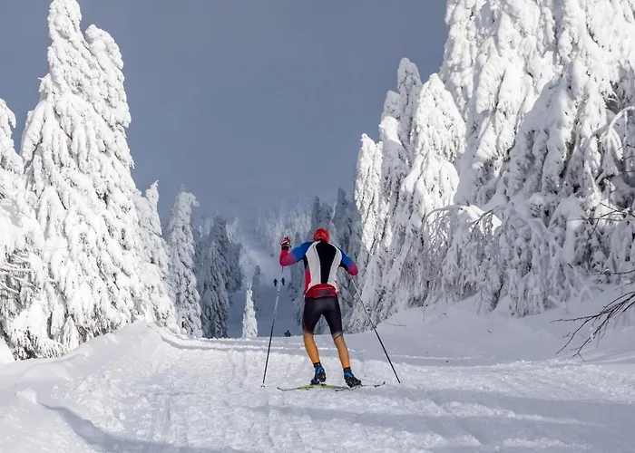 Happy Klínovec Apartmán