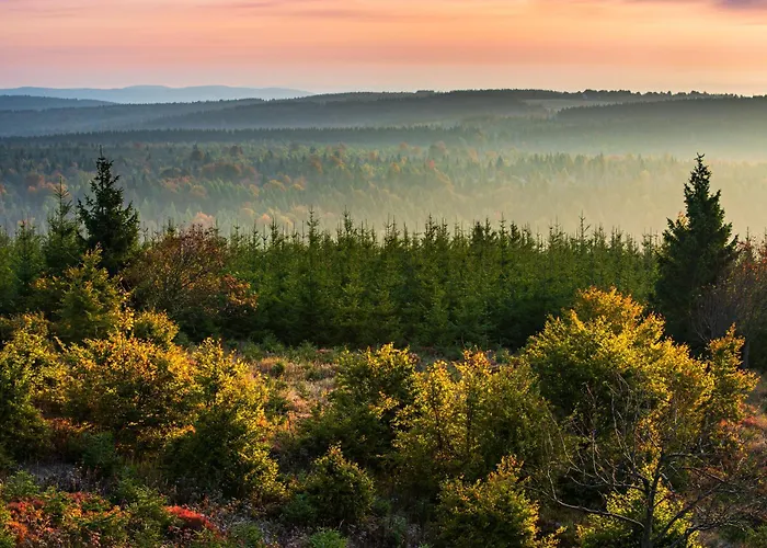 Apartmán Happy Klínovec Loučná pod Klínovcem